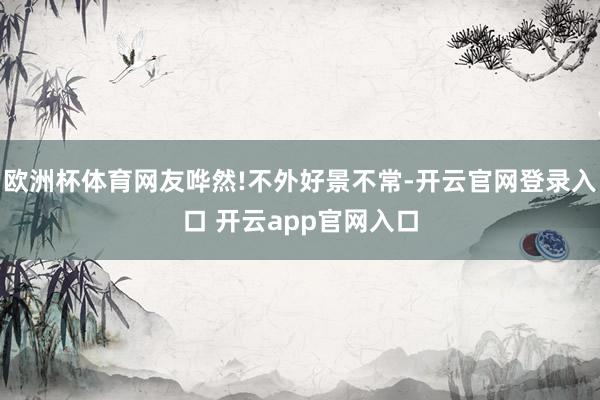 欧洲杯体育网友哗然!不外好景不常-开云官网登录入口 开云app官网入口