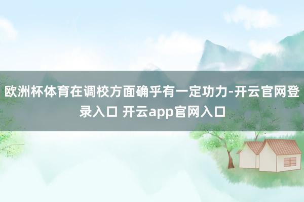 欧洲杯体育在调校方面确乎有一定功力-开云官网登录入口 开云app官网入口