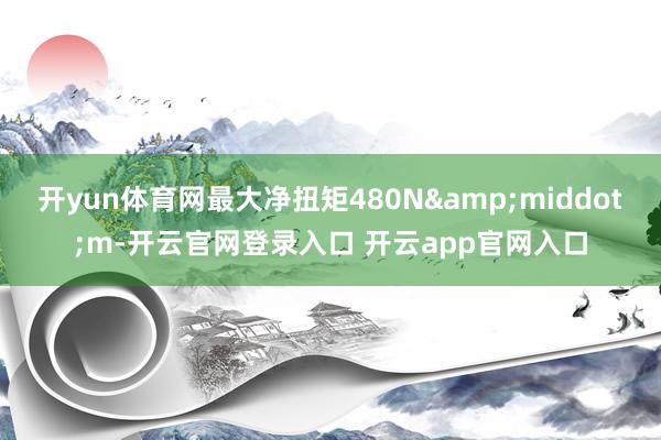 开yun体育网最大净扭矩480N&middot;m-开云官网登录入口 开云app官网入口