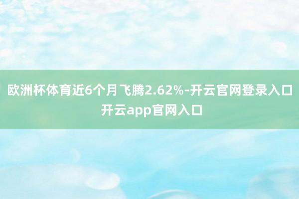 欧洲杯体育近6个月飞腾2.62%-开云官网登录入口 开云app官网入口