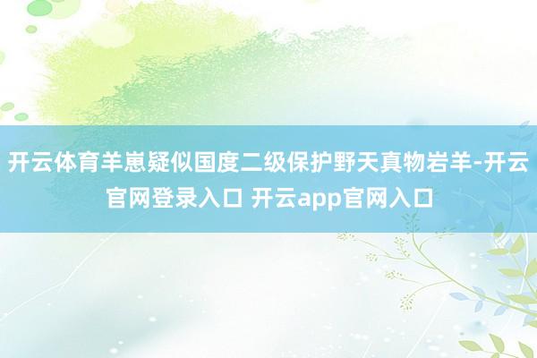 开云体育羊崽疑似国度二级保护野天真物岩羊-开云官网登录入口 开云app官网入口