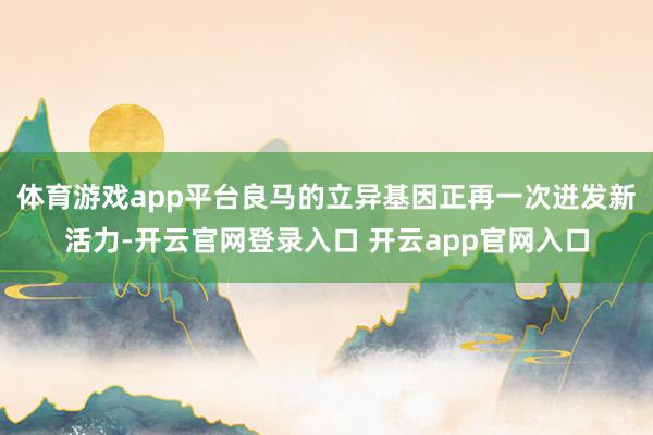 体育游戏app平台良马的立异基因正再一次迸发新活力-开云官网登录入口 开云app官网入口