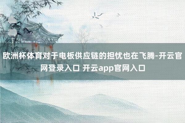 欧洲杯体育对于电板供应链的担忧也在飞腾-开云官网登录入口 开云app官网入口