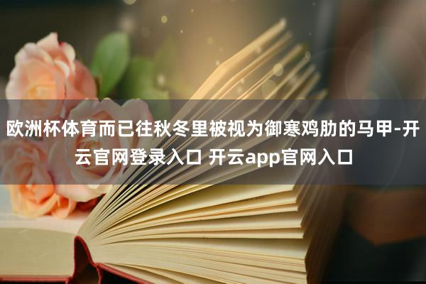 欧洲杯体育而已往秋冬里被视为御寒鸡肋的马甲-开云官网登录入口 开云app官网入口