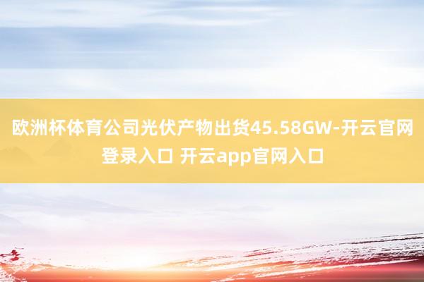 欧洲杯体育公司光伏产物出货45.58GW-开云官网登录入口 开云app官网入口