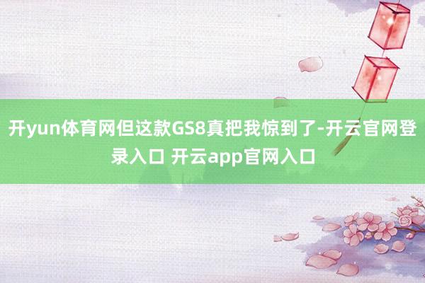 开yun体育网但这款GS8真把我惊到了-开云官网登录入口 开云app官网入口