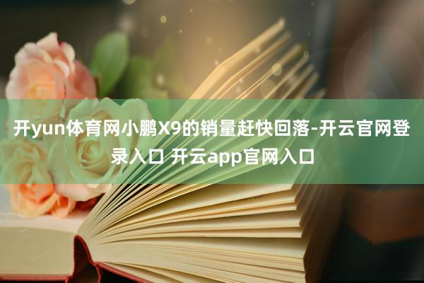 开yun体育网小鹏X9的销量赶快回落-开云官网登录入口 开云app官网入口