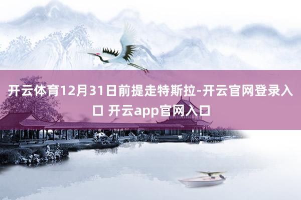 开云体育12月31日前提走特斯拉-开云官网登录入口 开云app官网入口