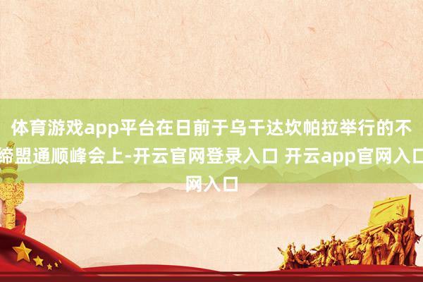 体育游戏app平台在日前于乌干达坎帕拉举行的不缔盟通顺峰会上-开云官网登录入口 开云app官网入口