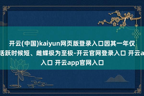 开云(中国)kaiyun网页版登录入口因其一年仅两代、成虫活跃时候短、雌蝶极为至极-开云官网登录入口 开云app官网入口