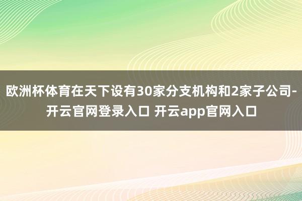 欧洲杯体育在天下设有30家分支机构和2家子公司-开云官网登录入口 开云app官网入口