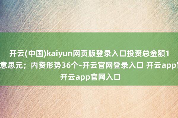 开云(中国)kaiyun网页版登录入口投资总金额10.1亿好意思元;内资形势36个-开云官网登录入口 开云app官网入口