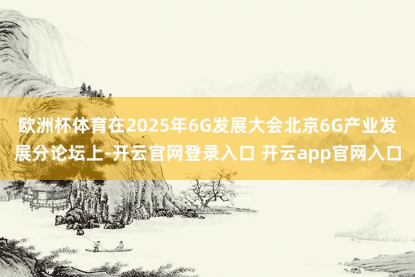 欧洲杯体育在2025年6G发展大会北京6G产业发展分论坛上-开云官网登录入口 开云app官网入口