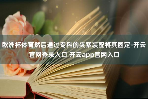欧洲杯体育然后通过专科的夹紧装配将其固定-开云官网登录入口 开云app官网入口