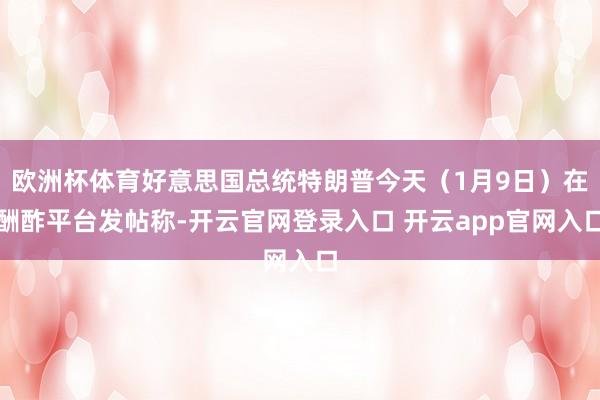 欧洲杯体育好意思国总统特朗普今天（1月9日）在酬酢平台发帖称-开云官网登录入口 开云app官网入口