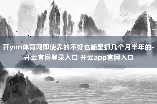 开yun体育网即使养的不好也能坚抓几个月半年的-开云官网登录入口 开云app官网入口