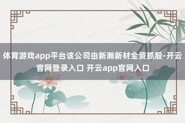 体育游戏app平台该公司由新瀚新材全资抓股-开云官网登录入口 开云app官网入口