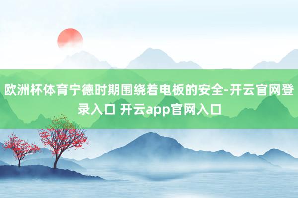 欧洲杯体育宁德时期围绕着电板的安全-开云官网登录入口 开云app官网入口