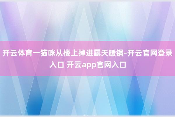 开云体育一猫咪从楼上掉进露天暖锅-开云官网登录入口 开云app官网入口