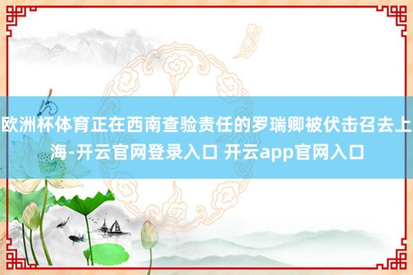 欧洲杯体育正在西南查验责任的罗瑞卿被伏击召去上海-开云官网登录入口 开云app官网入口